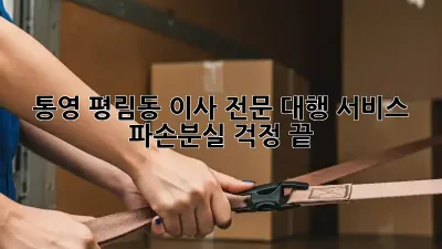 통영 평림동 이사 전문 대행 서비스: 파손/분실 걱정 끝!
