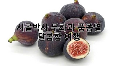 시골박사 무화과: 품종별 달콤함 여행
