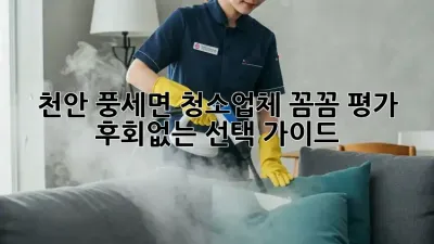 천안 풍세면 청소업체 꼼꼼 평가! ✨ 후회없는 선택 가이드
